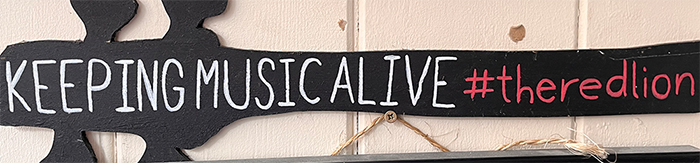 slimmusicliveredlion
